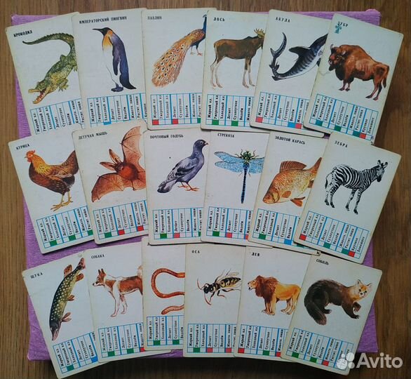 Карты детские игра настольная СССР