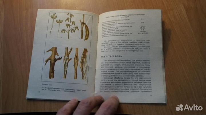 Соя интенсивная технология 1988 год