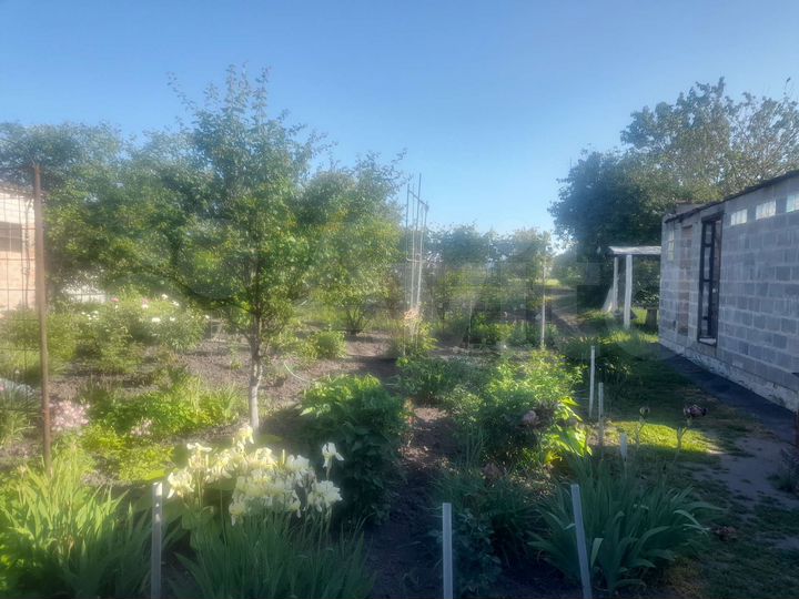 Дом 45,8 м² на участке 21 сот.