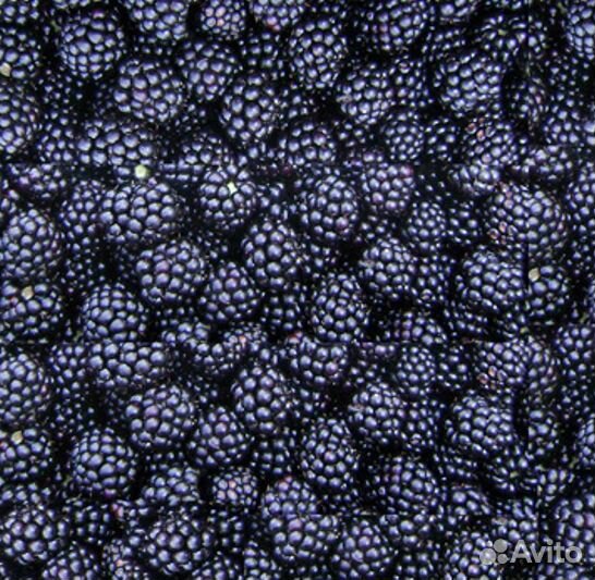 Ягоды и фрукты замороженные с доставкой