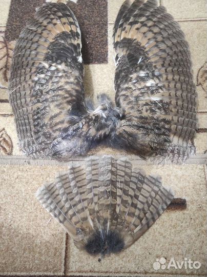 Части чучел