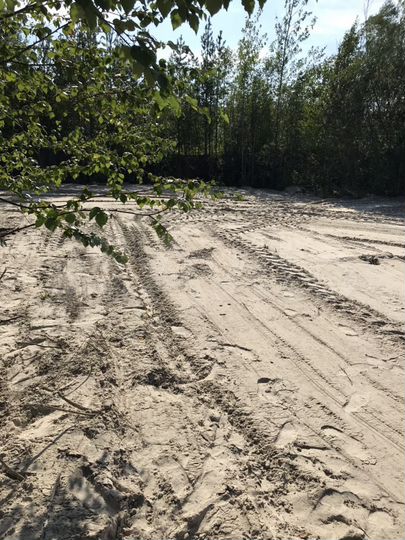 Участок 6 сот. (ИЖС)