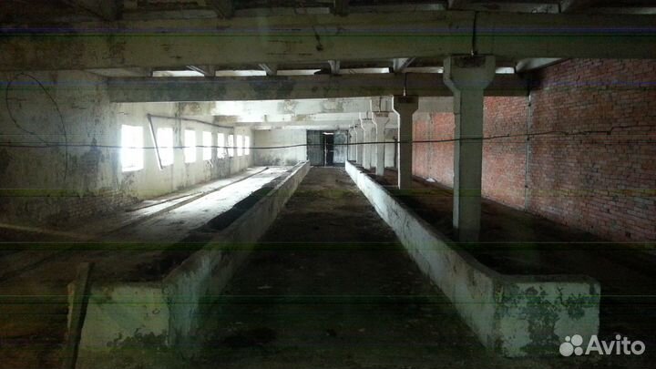 Ферма. Коровник, свинарник, крольчатник