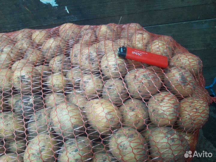 Картофель мелкий