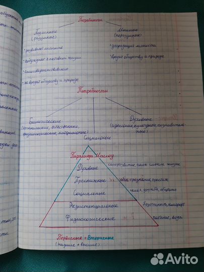 ЕГЭ конспекты весь курс обществознания