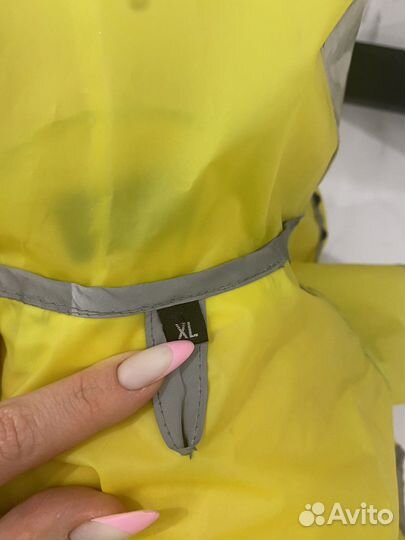 Одежда для собак