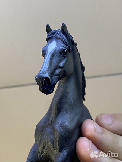 Кобыла мустанг