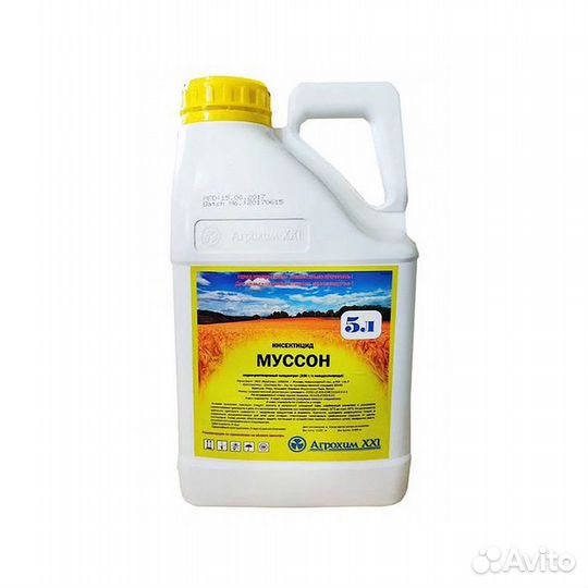 Муссон, врк