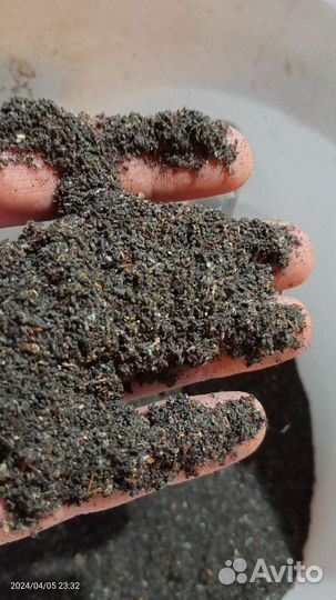 Пжвм-поживёМ