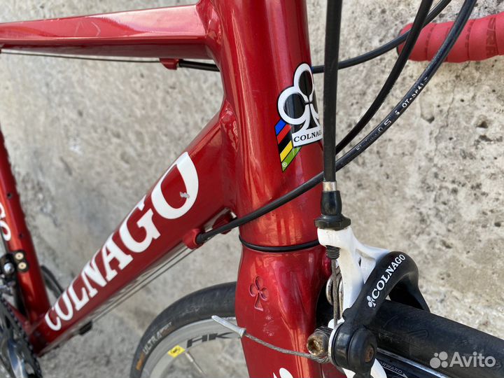 Colnago Move