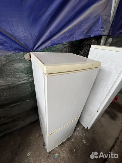 Холодильник бу snaige 175/60/60