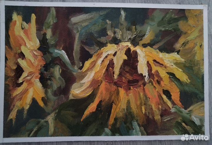 Этюд маслом на картоне, подсолнухи