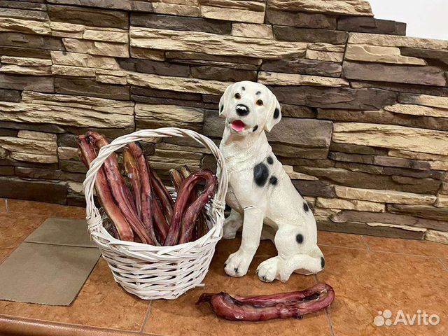 Сушёные лакомства для собак