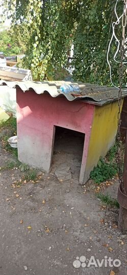 Будка для собаки бесплатно