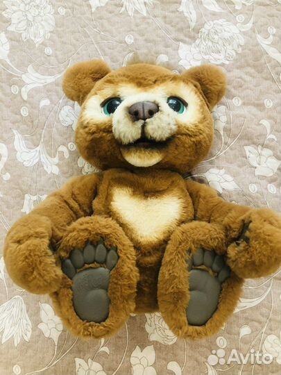 Медведь full real