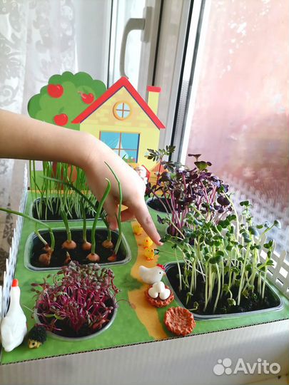 Ух, какие грядки - огород на подоконнике