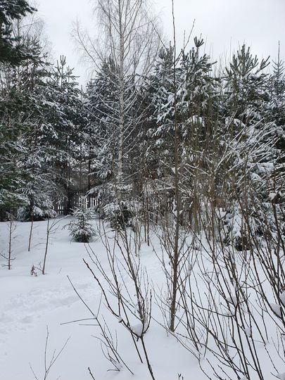 Участок 9 сот. (ИЖС)