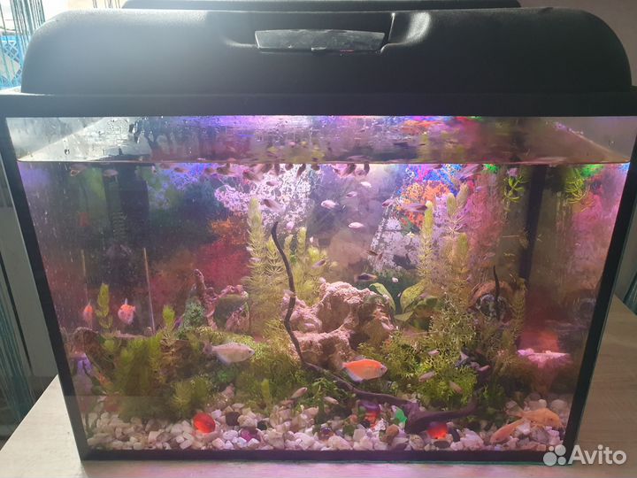 Аквариумы 100,60,50 литровые