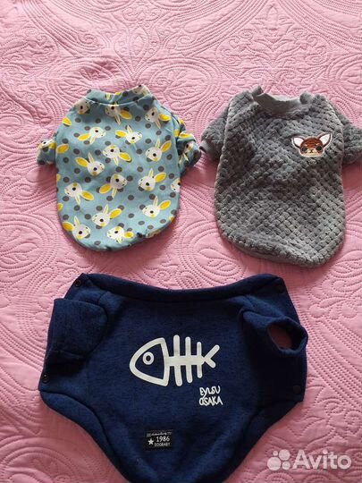 Одежда для маленьких собак/кошек