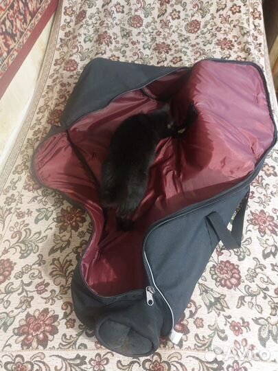 Чехол для лодочного мотора до 5 л.с