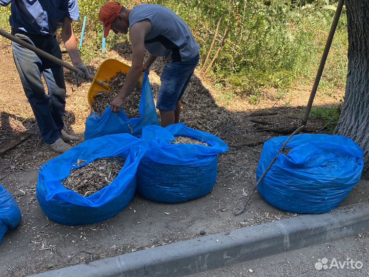 Древесная щепа, бревна