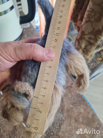 Вязаная собака