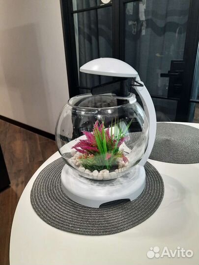 Аквариум для рыбок