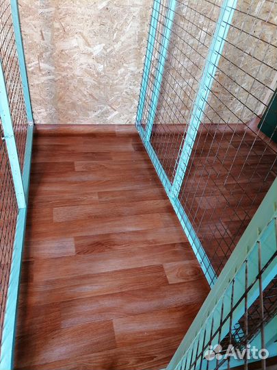 Загородная передержка для собак посуточно/помесячн