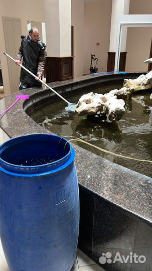 Сервисное обслуживание и химия для бассейна