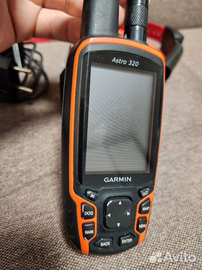 Навигатор Garmin Astro 320 и ошейник DC50