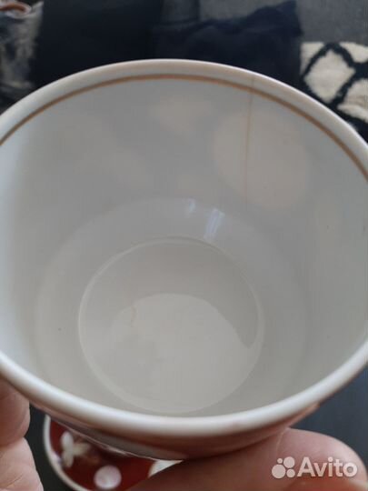 Вербилки слива СССР