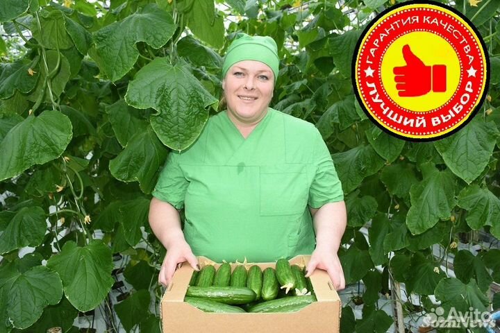 Вахта в Москве - Разнорабочий на теплицу