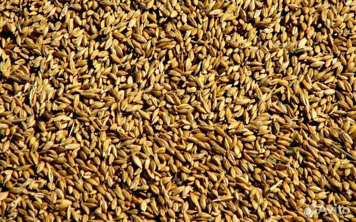 Комбикорм,пшеница,горох,ячмень,овёс,просо,кукуруза