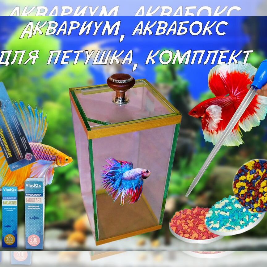 Аквариум, Аквабокс для петушка, комплект