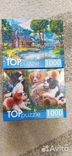 Пазлы 1000