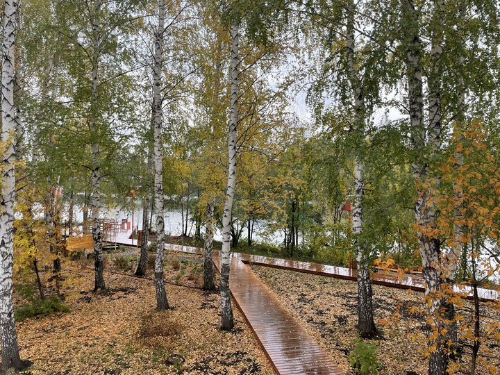 3-к. квартира, 60 м², 7/22 эт.