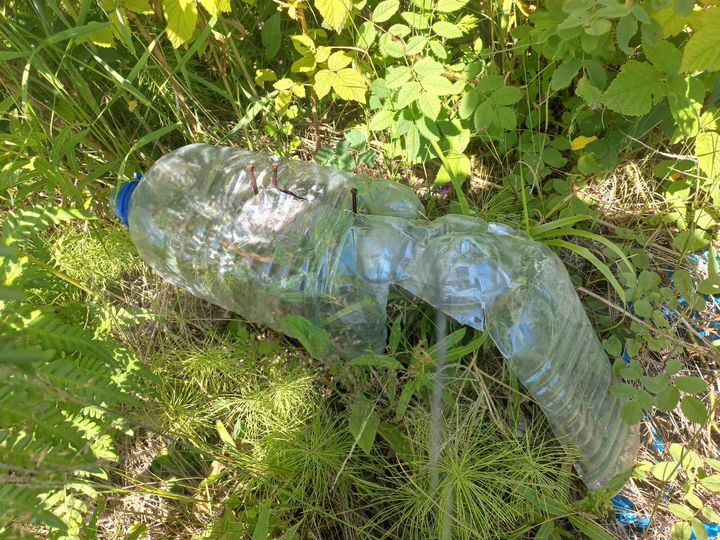 Дом 30 м² на участке 10 сот.