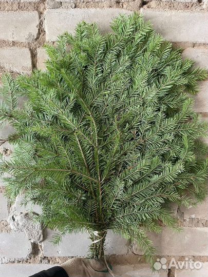 Веники пихтовые от производителя