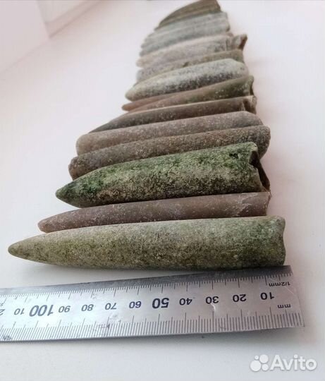 Окаменелости белемниты