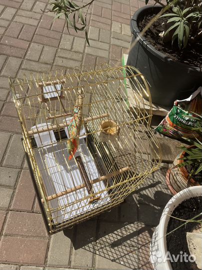 Клетка для крупного попугая