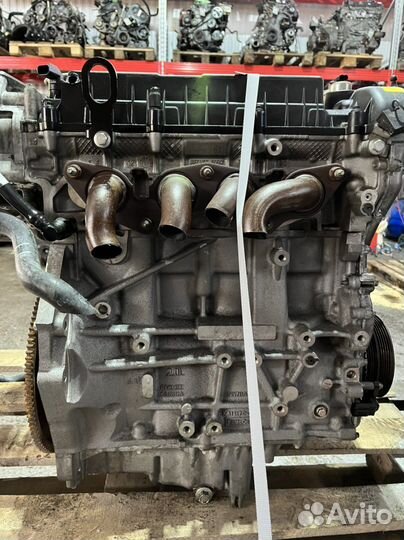 Двигатель mgda Ford Focus контрактный