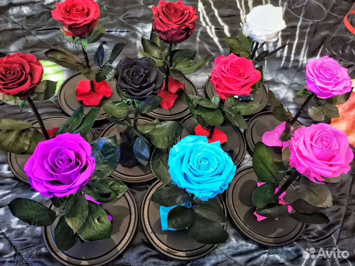 Розы в колбе (вечные)