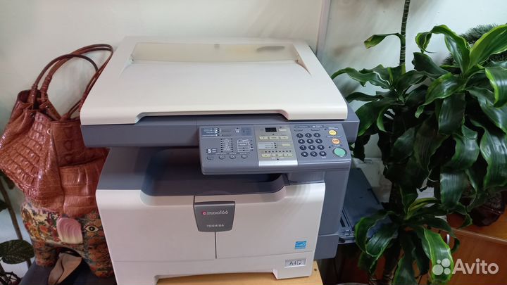 Ксерокс Toshiba e-studio 166