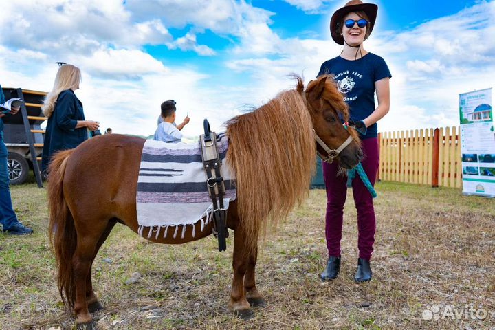 Конные прогулки