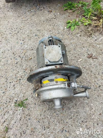 Насос пищевой