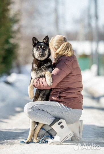 Щенок девочка в добрые руки
