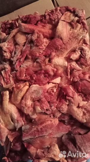 Продам обрезь говяжью