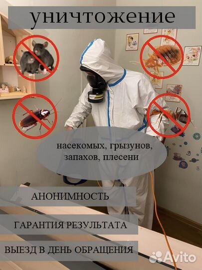 Обработка от плесени. Дезинфекция