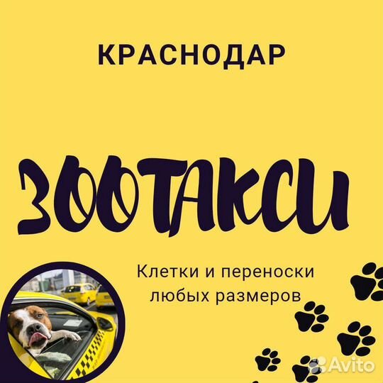 Перевозка животных, зоотакси