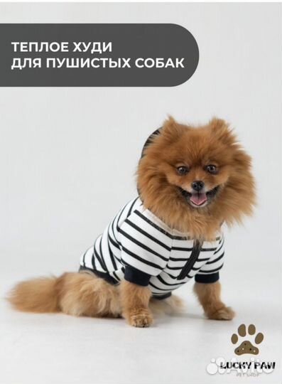 Худи для собак